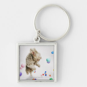 A Portuguese Waterdog jumping amongst falling Keychain