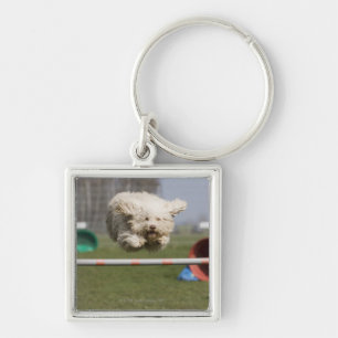 A Portuguese Waterdog jumping over a hurdle Keychain