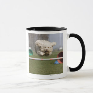 A Portuguese Waterdog jumping over a hurdle Mug