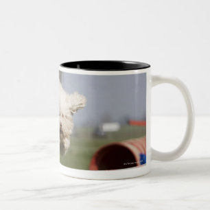 A Portuguese Waterdog jumping over a hurdle Two-Tone Coffee Mug