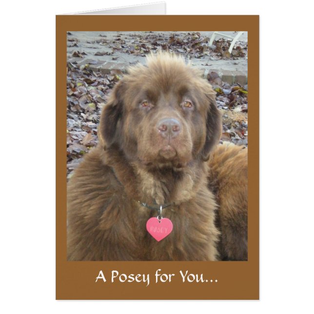 A Posey for You... (Front)