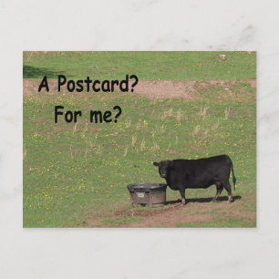 A Postcard? For Me? Postcard