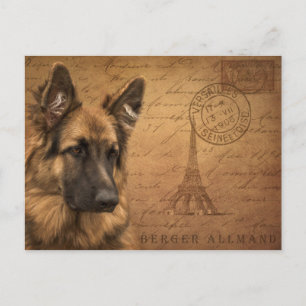 A postcard from paris