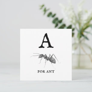 "A" pour la carte plat d'ant