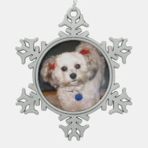 A precious snowflake