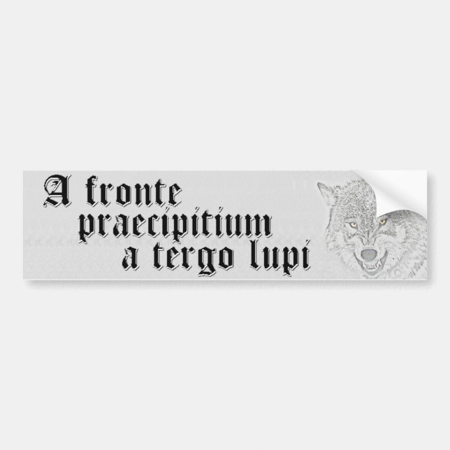 A Precipice in front, wolves behind Bumper Sticker (Front)