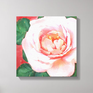 A Pretty Pink Rose Canvas Print