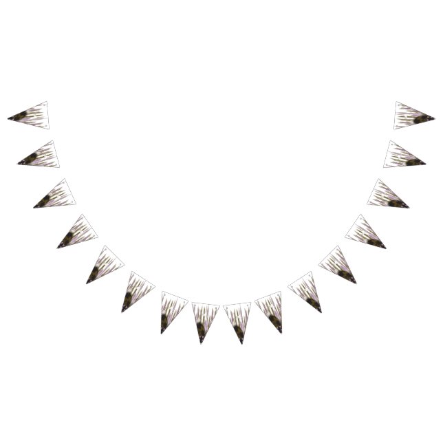 A pristine lake nestled among snow-capped mountain bunting flags (All)