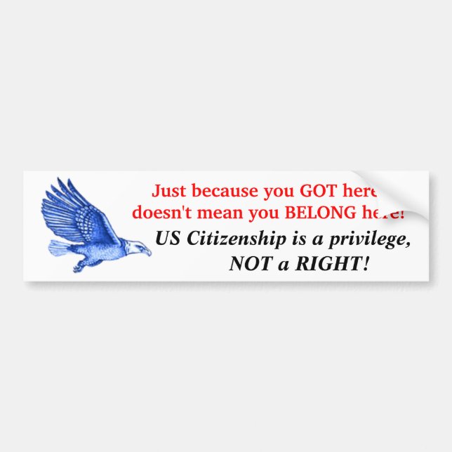 A Privilige, Not A Right! Bumper Sticker (Front)