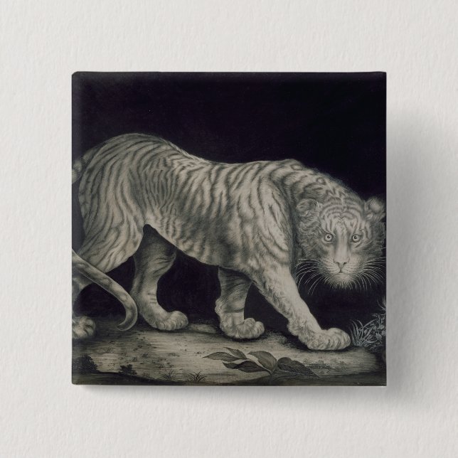 A Prowling Tiger (pencil on paper) 2 Inch Square Button (Front)