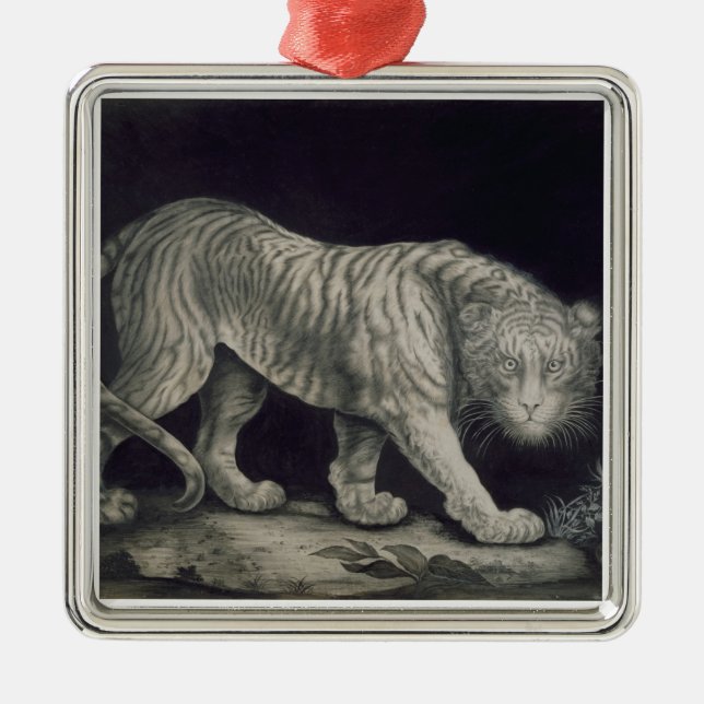 A Prowling Tiger (pencil on paper) Metal Ornament (Front)
