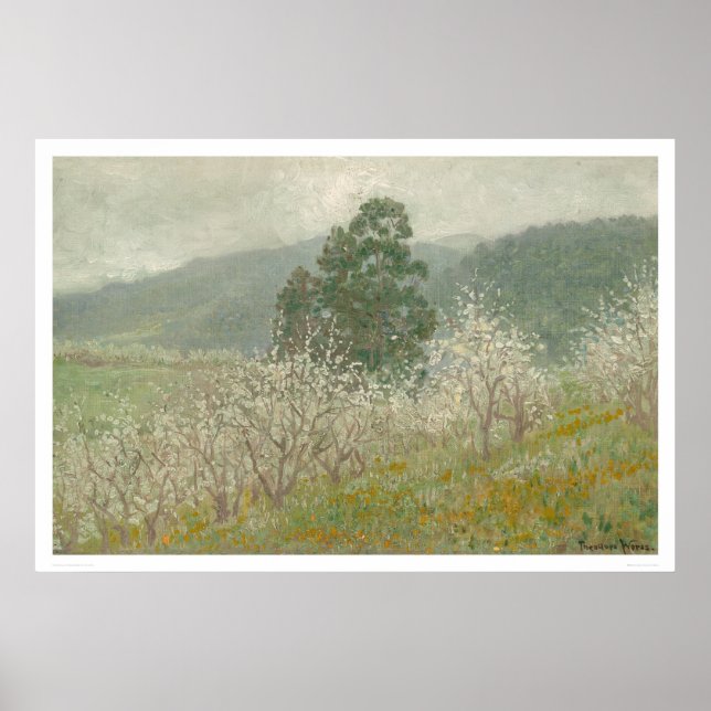 A Prune Orchard, Saratoga, California (1170) Poster (Front)