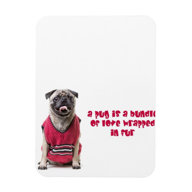 A Pug Is A Bundle Of Love Wrapped In Fur Magnet (Vertical)