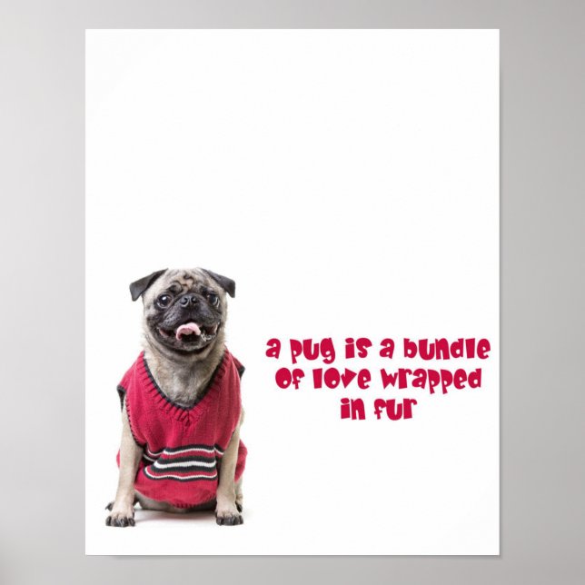 A Pug Is A Bundle Of Love Wrapped In Fur Poster (Front)