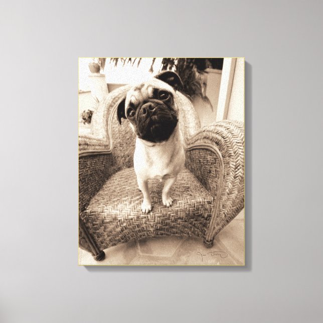 A Pug with its Head Titled to the Side Canvas Print (Front)