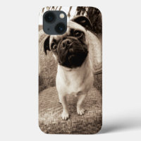 A Pug with its Head Titled to the Side