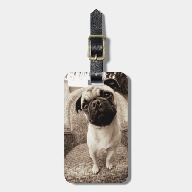 A Pug with its Head Titled to the Side Luggage Tag (Front Vertical)