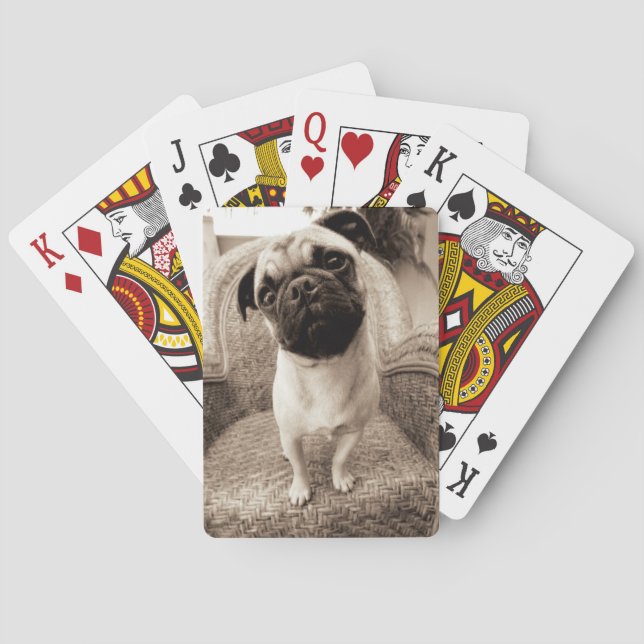 A Pug with its Head Titled to the Side Playing Cards (Back)