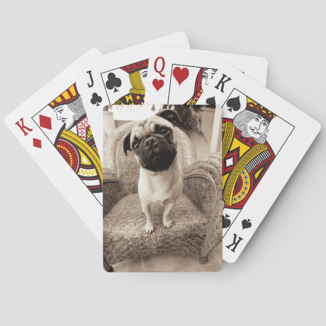 A Pug with its Head Titled to the Side Playing Cards (Back)