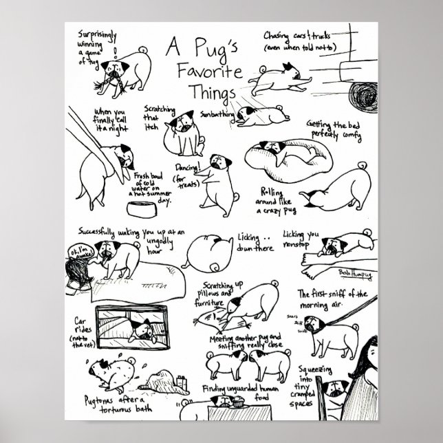 A Pug's Favorite Things, Part II Poster (Front)