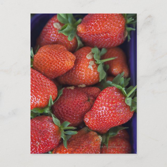 a punnet of ripe fresh strawberries for sale in postcard (Front)