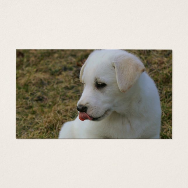 A Puppies Tongue (Front)