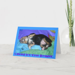 a pups hard day, I Heard It's Your Birthday, Card