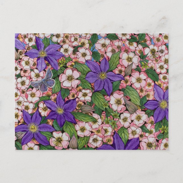 A Purple Patch 2011 Postcard (Front)