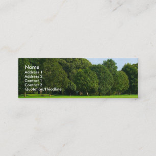 A Quiet Afternoon in the Park Mini Business Card