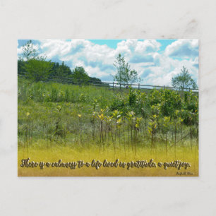 A Quiet Joy Postcard