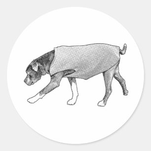 A Quiet Nod of Understanding Classic Round Sticker