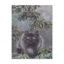 A Quiet Place - Kitten and Spiderweb Postcard