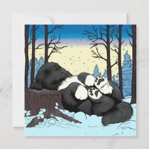 A quiet winters Newfoundland nap Holiday Card