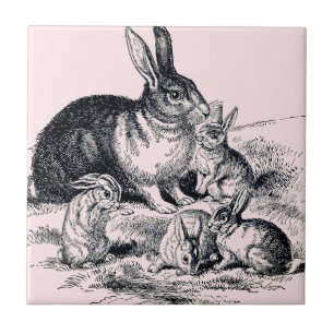 A rabbit family - vintage illustration tile