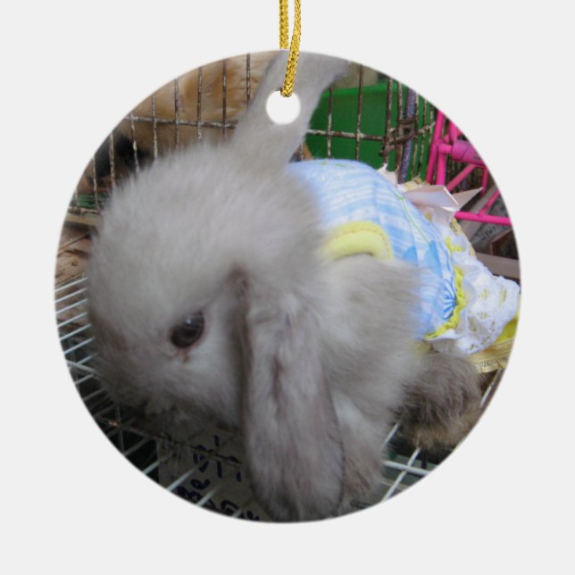 A Rabbit in a Dress Ceramic Ornament (Front)