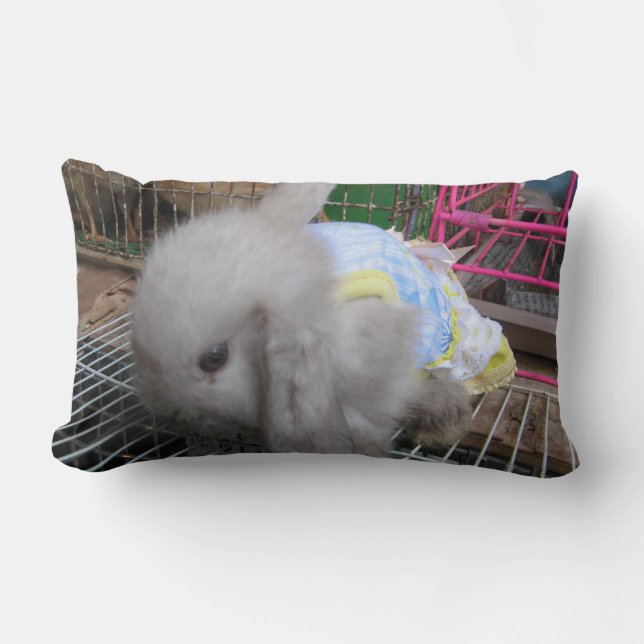 A Rabbit in a Dress Lumbar Pillow (Front)