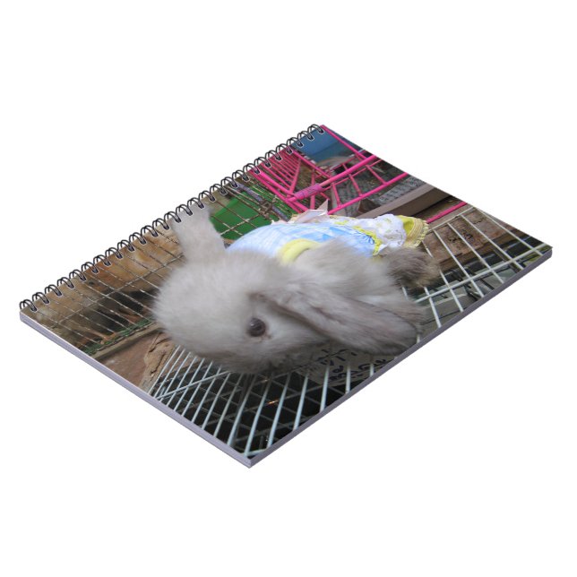 A Rabbit in a Dress Notebook (Left Side)