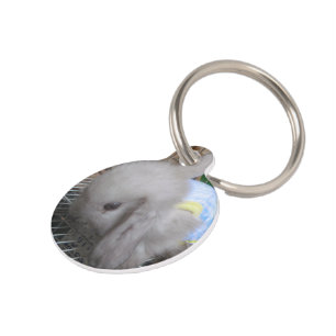 A Rabbit in a Dress Pet Tag