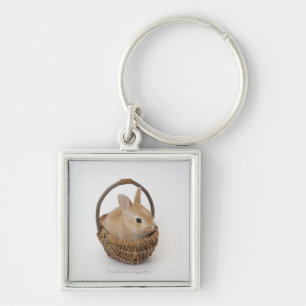 A rabbit is in a basket.Netherland Dwarf. Keychain
