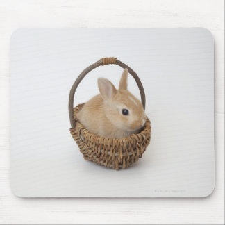 A rabbit is in a basket.Netherland Dwarf. Mouse Pad