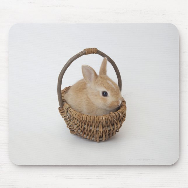 A rabbit is in a basket.Netherland Dwarf. Mouse Pad (Front)