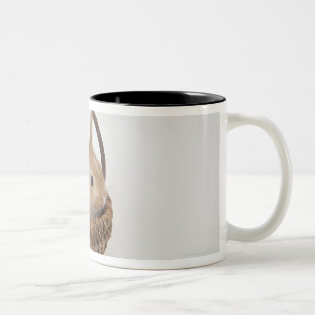 A rabbit is in a basket.Netherland Dwarf. Two-Tone Coffee Mug (Right)