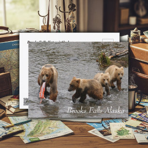 A Rare Feast at Brooks Falls Postcard