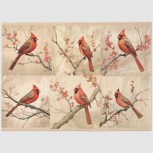 A Red Cardinal Series Design 1 Tissue Paper