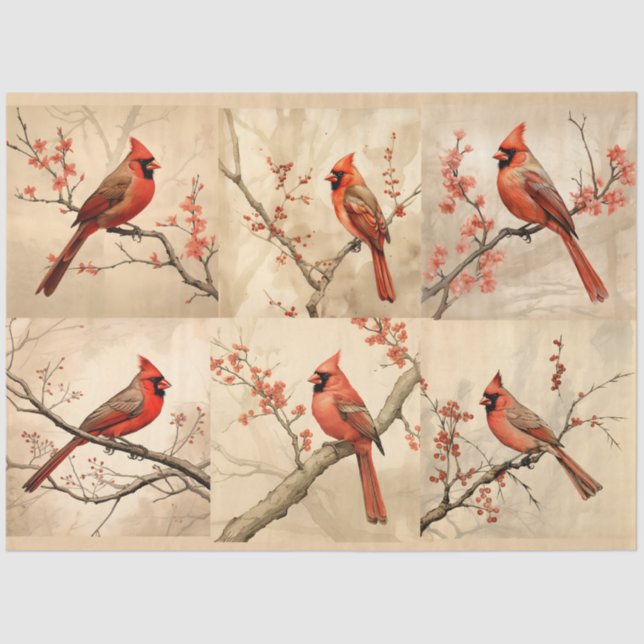 A Red Cardinal Series Design 1 Tissue Paper (Front)