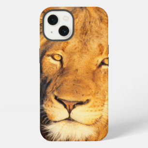 A Red Maned Lion looking at the camera. iPhone 13 Case