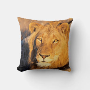 A Red Maned Lion looking at the camera. Throw Pillow
