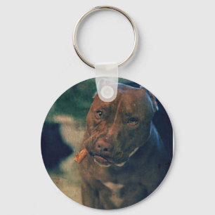 A Red Nose Pit Bull Chewing a Cigar Keychain