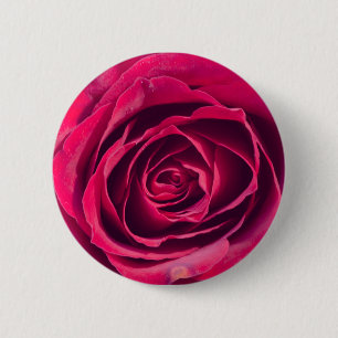A red rose 2 inch round button