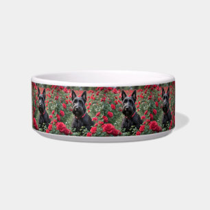 "A Red Rose for the Black Scottish Terrier" Bowl